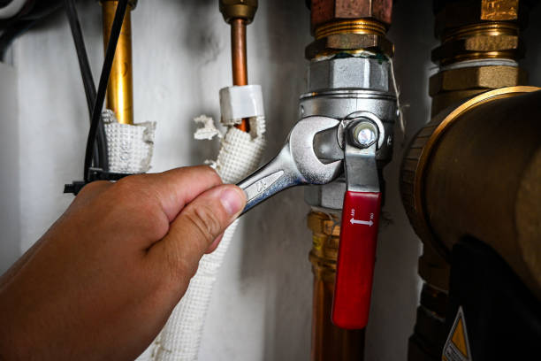 Best Local Plumber Services  in St Michael, MN